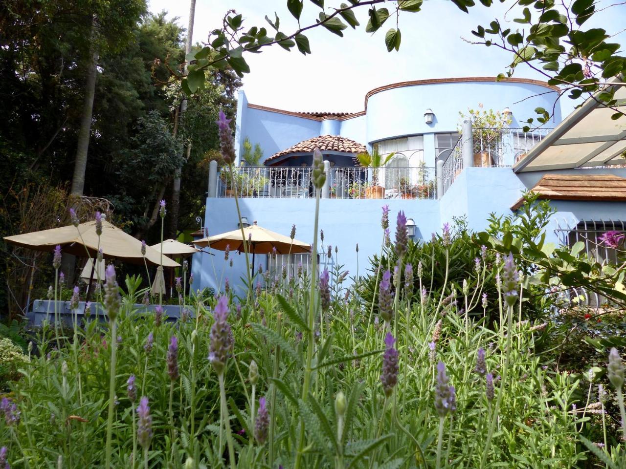 Casa Carly Hotel San Miguel de Allende Exterior photo