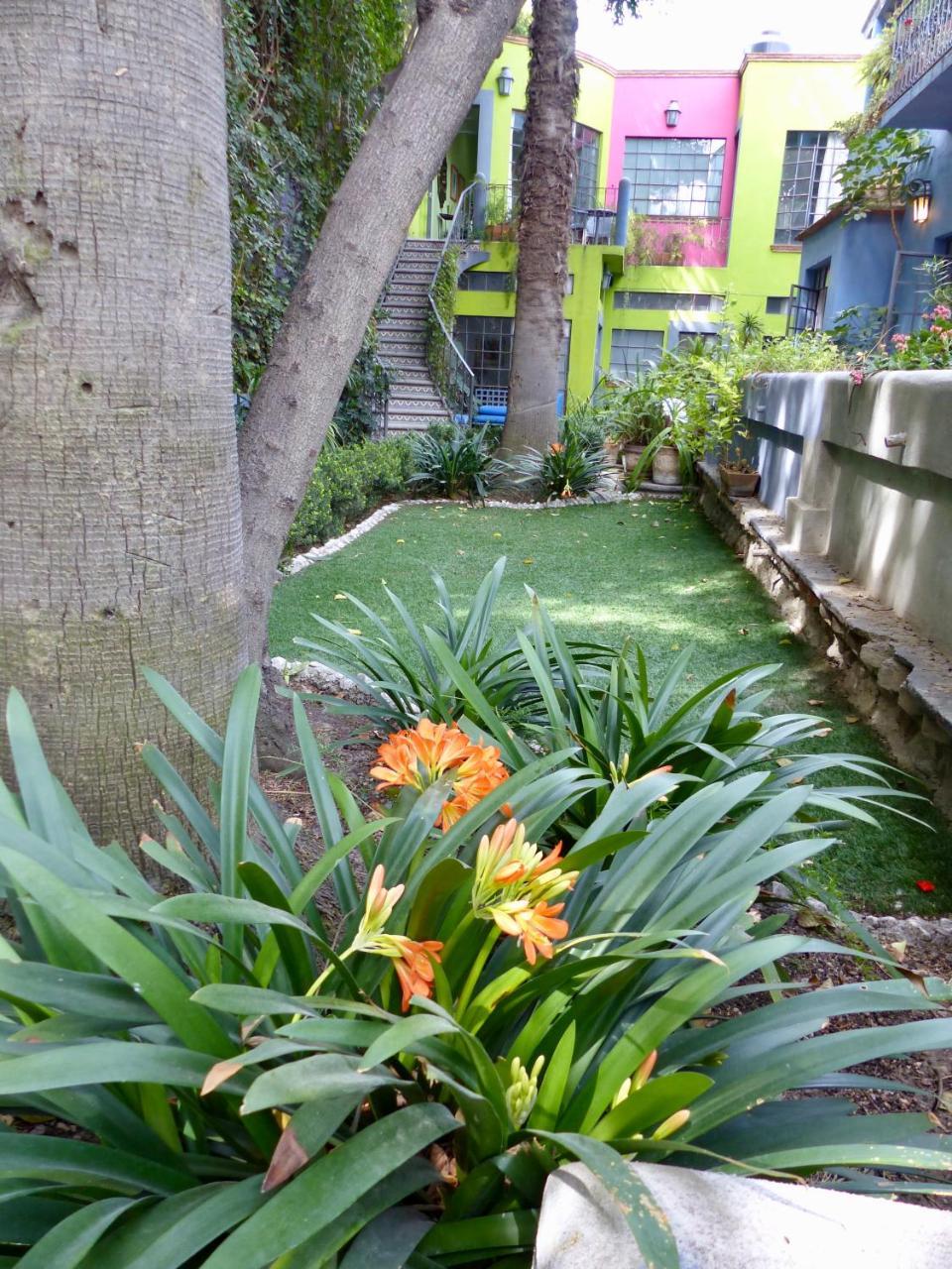 Casa Carly Hotel San Miguel de Allende Exterior photo
